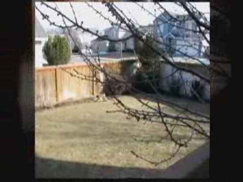 Spokane Homes For Sale - 23621 East Sharp Ct