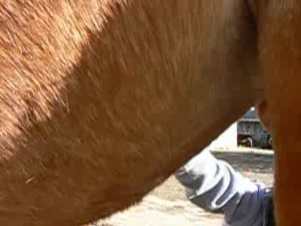 Dans le ventre de Koba a 8 mois 3 semaines