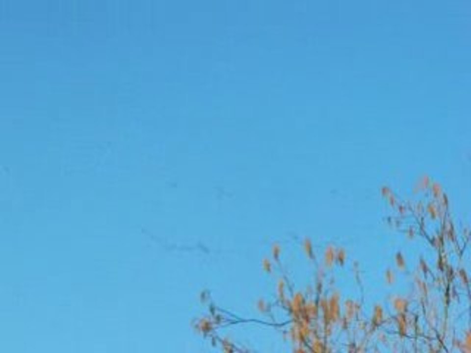 DSCF0024 elles repartent