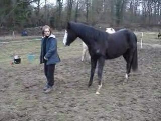 Tribal jambettes 136