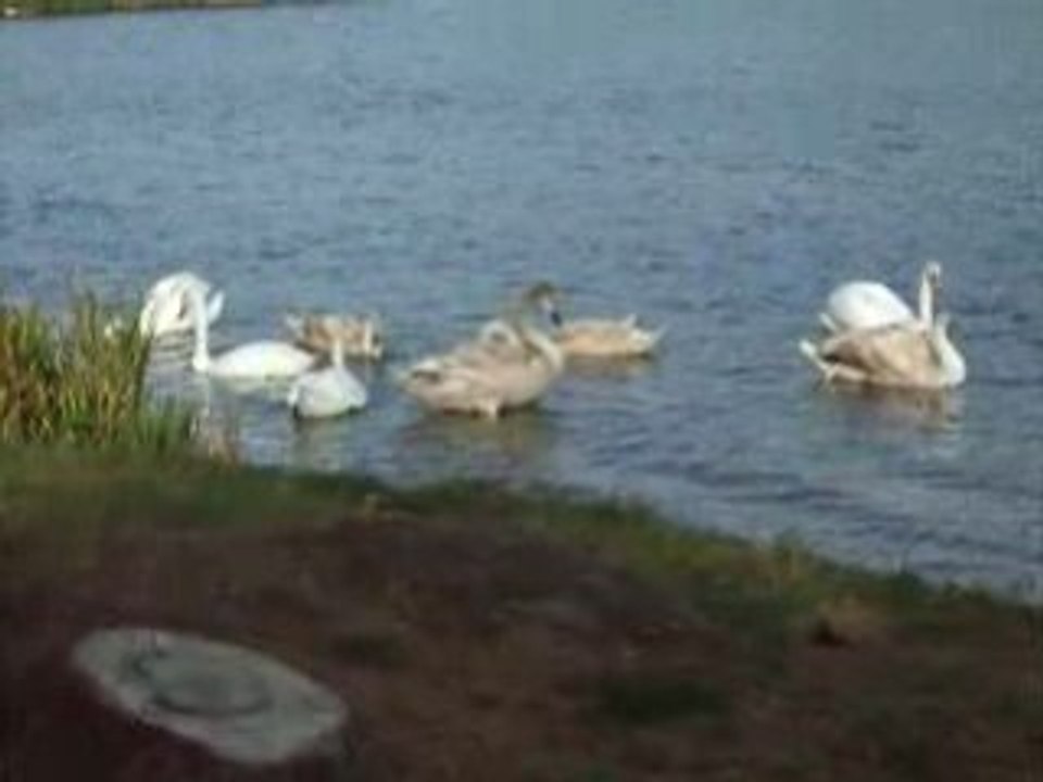 DSCF0206