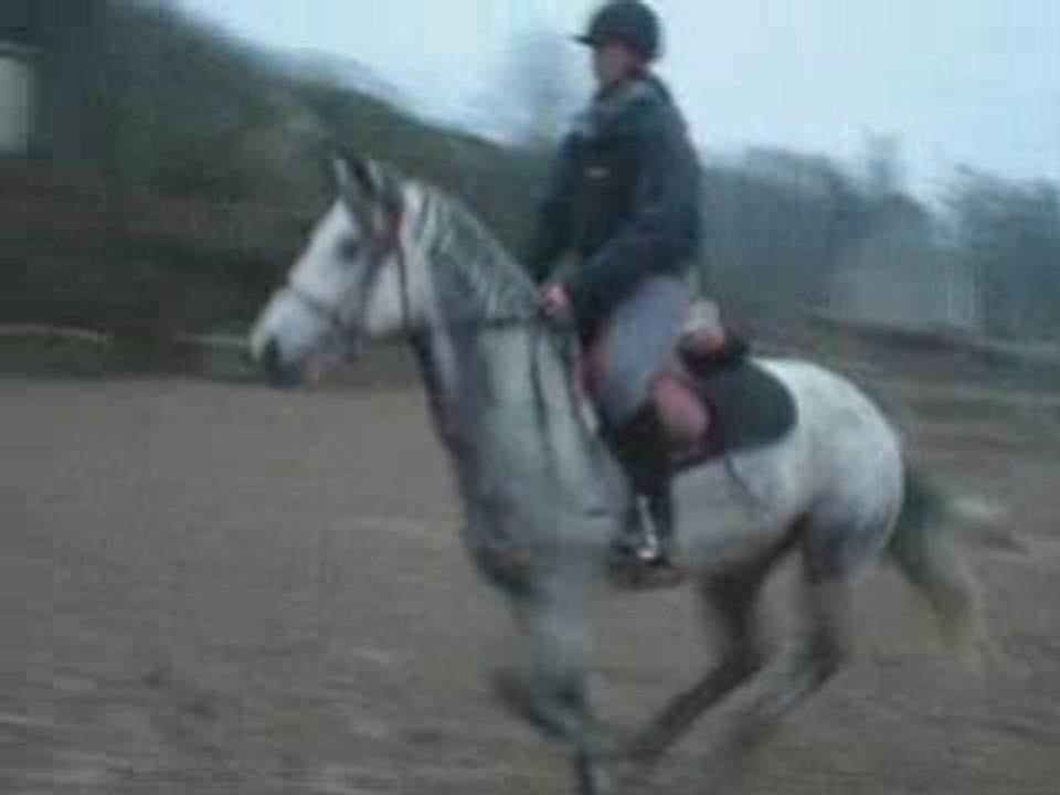 Lancelot et solene mercredi 18 fevrier 2009