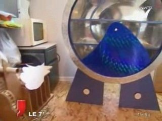 Déco : Céline, créatrice de meubles en carton !