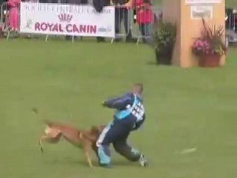 valmy land van mechelaar finale ring 2008