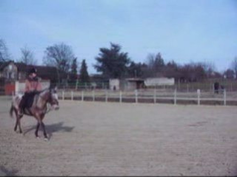 Galop-15-02-2009-2