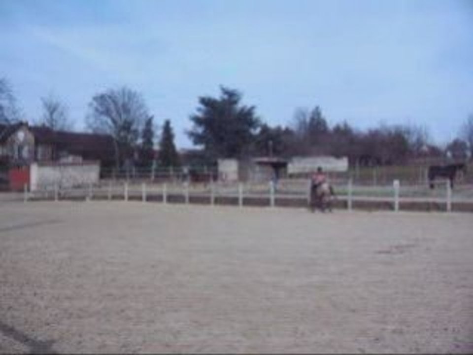 Tete-au-mur-pas-et-trot 15-02-2009
