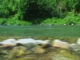 Les Bateliers du Viaduc