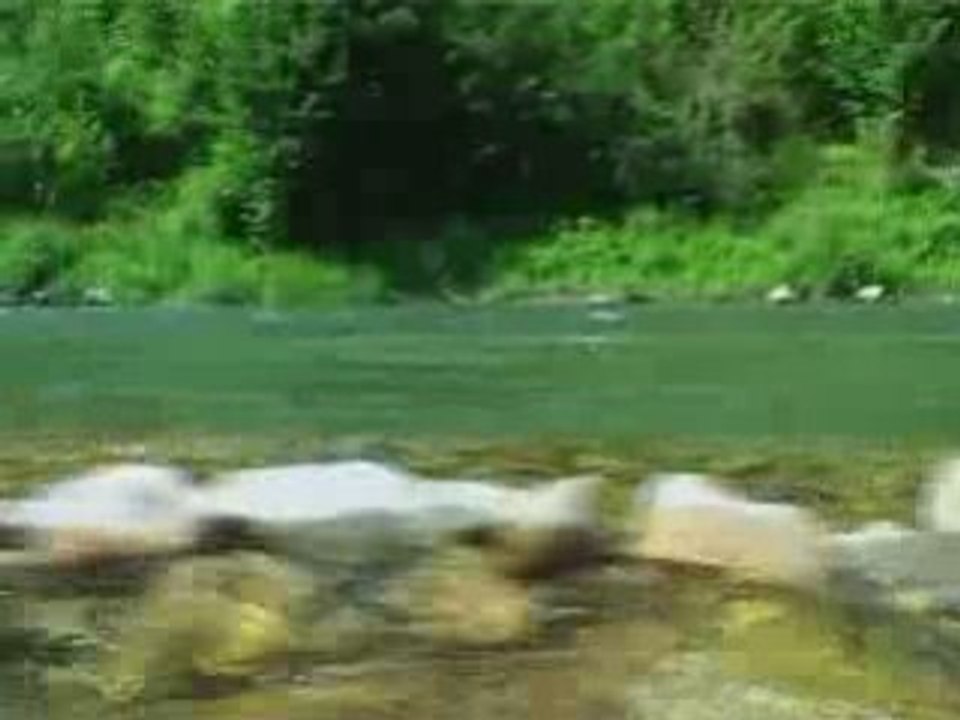 Les Bateliers du Viaduc