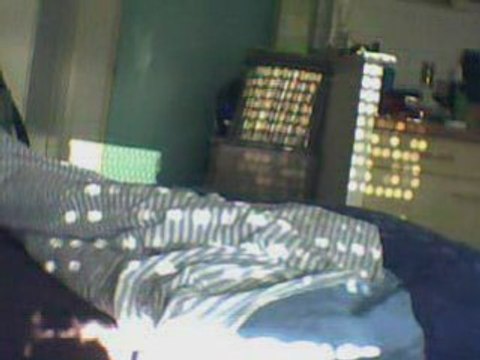 chat qui va cherché et qui rapporte comme un chien !! mdr