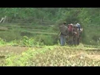 Steppin Into Zion - Kwame Bediako