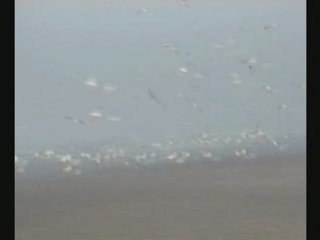 Videos De Presdesruines Dailymotion