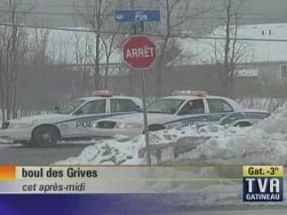 Accident sur des grives-pink