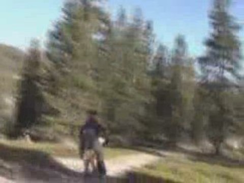 Extreme clips - American X Sports