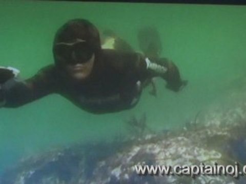 Chasse sous marine en Atlantique nov 2006