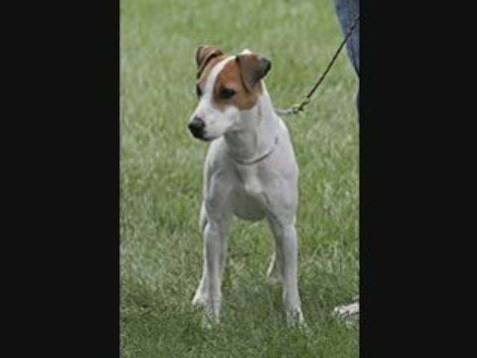 Enter a descriptive keyword-loaded title here!