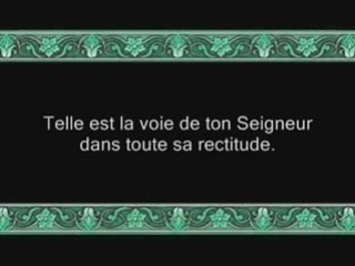 Sourate 6 Al-An'am ( LES BESTIAUX ) Versets 111 à 140