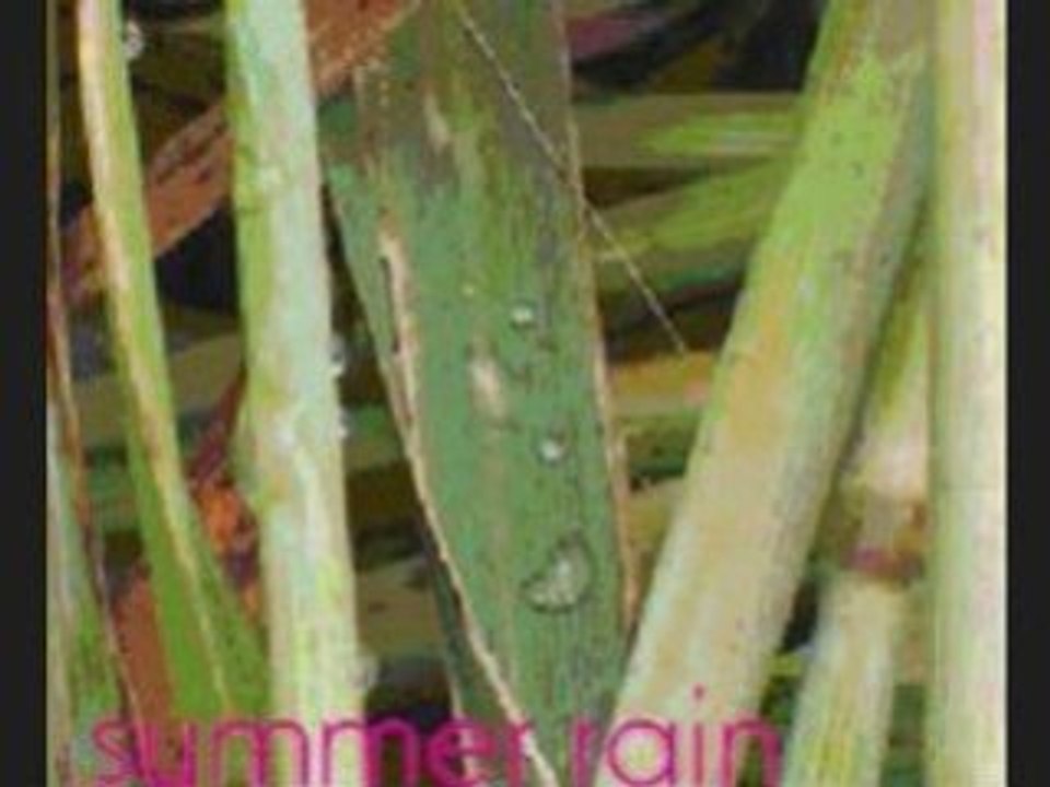 Summer Rain - LAF