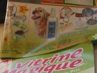 REMISE DE CHEQUE A LA SPA, AVEC OLIVIER MINNE