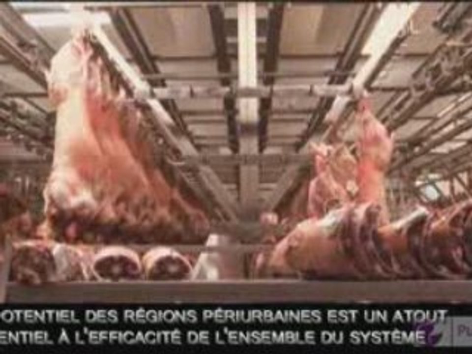 PURPLE Network Presentation VOSTFR