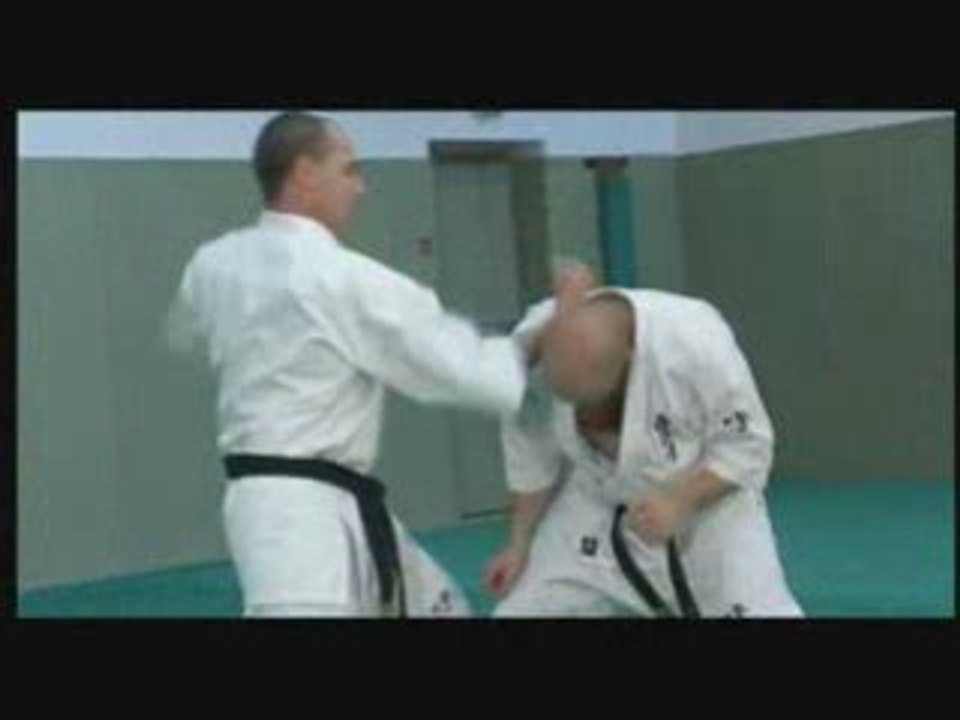 Kata Kyokushinkai vol.2