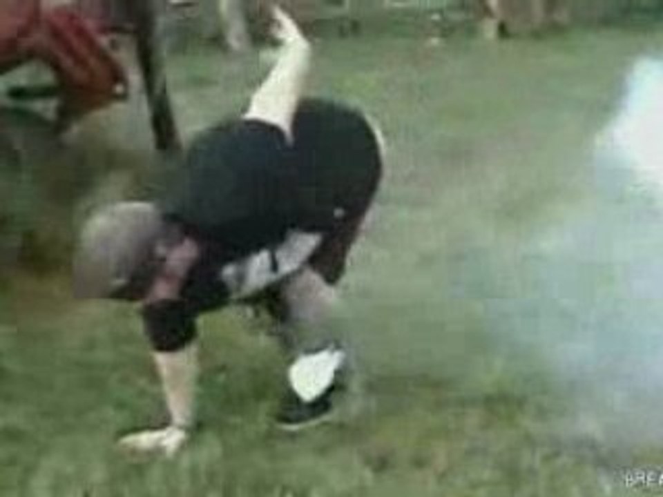 Dog Attacks Firework Video