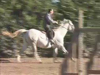 Popayann..Report de poids AVANT/ARRIERE  (Duhamel)