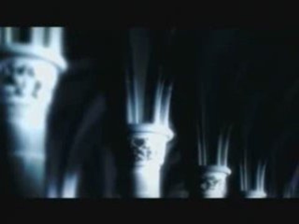 D - nocturnal