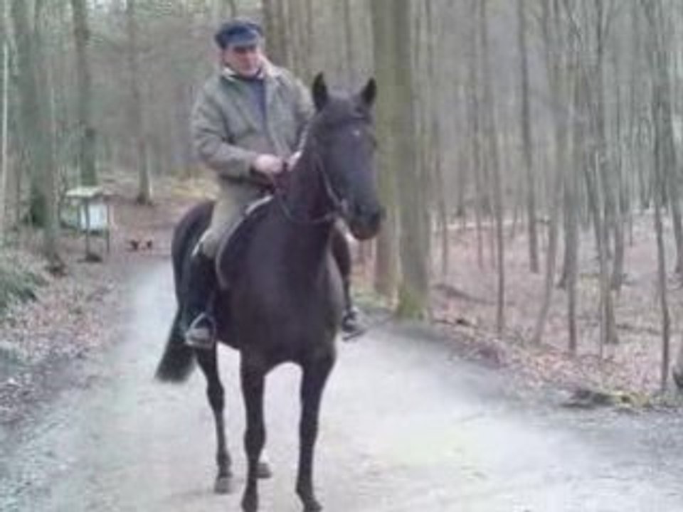 Vidéo001b