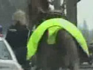 Cheval de la garde républicaine en cavale dans Paris !!!