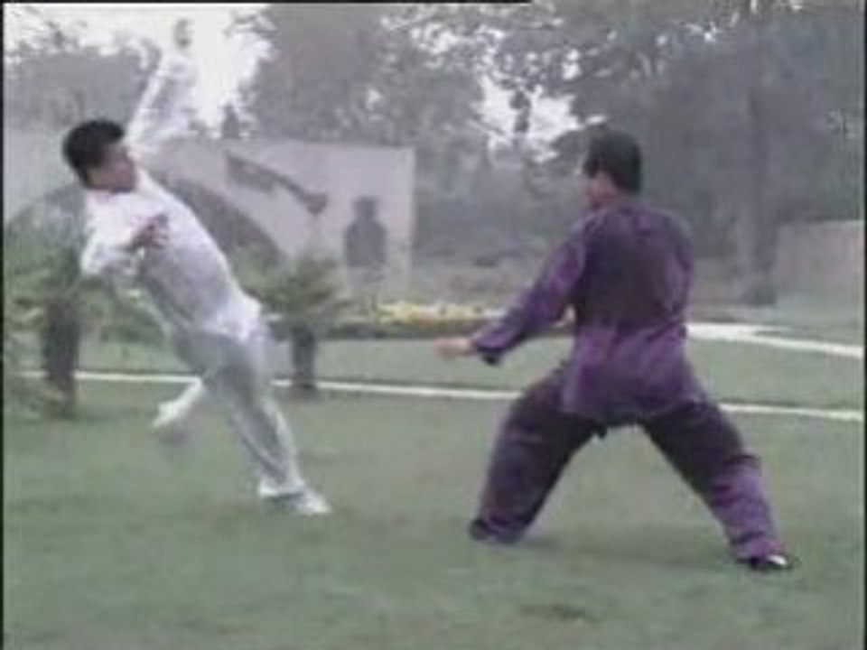 Applications martiales dans les tui shou par Wang Zhanjun