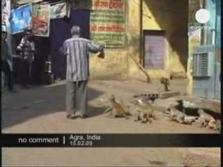 Qui sont les victimes dans le 93 Seine-Saint-Denis