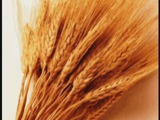 LUMINITA SOARE: "FRUNZA"-PASAREA COLIBRI folk romanesc