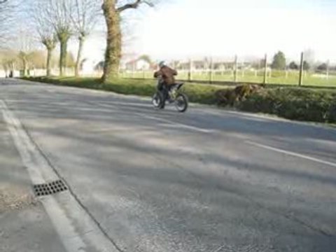 Derbi en Polini évo