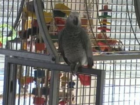 Atchoum à tes souhaits