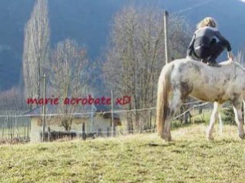 Gentil poney...