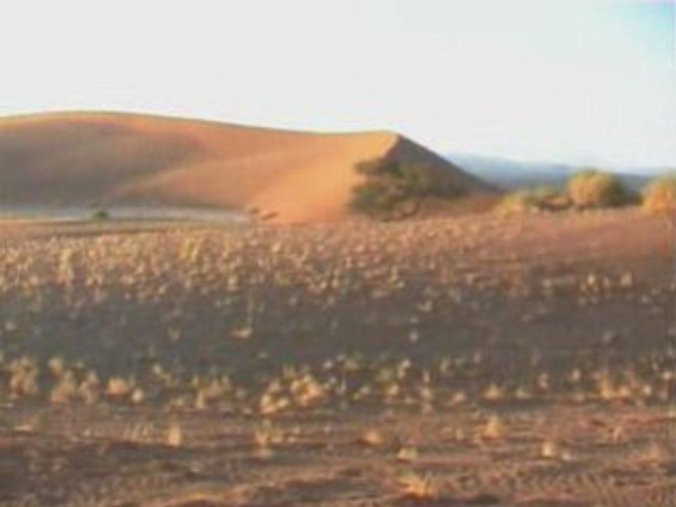 Namibie le désert - Novembre 2001