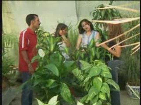 Cha3bi chaabi nachat zarra.tk azize 3azize berkani 4