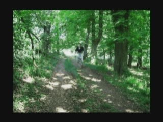 LUMINITA SOARE: "Les Bicyclettes De Belsize " english