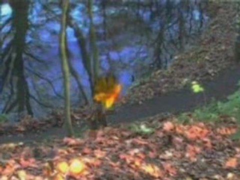 ZIYO - Poste Restante