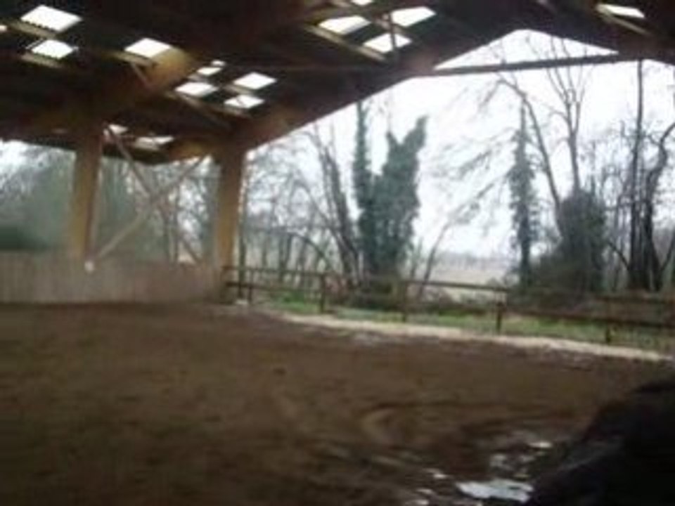 Dressage 25 Janvier