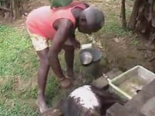 En forêt Guyanaise - Février 2002