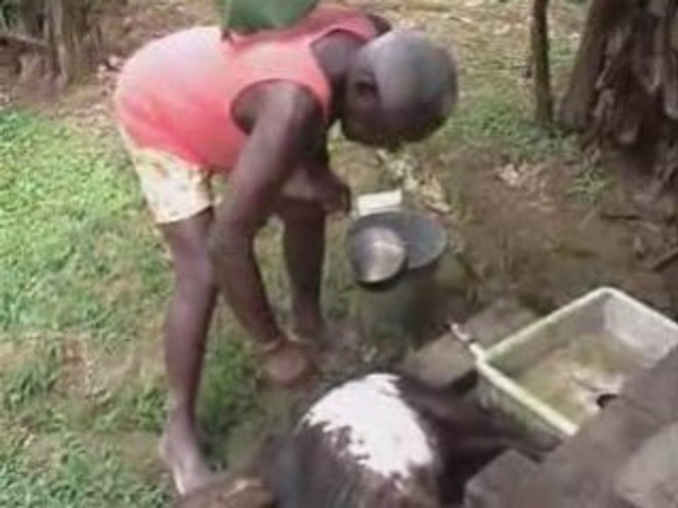 En forêt Guyanaise - Février 2002