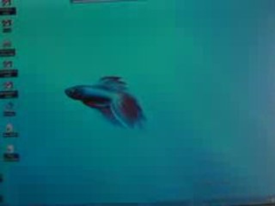 Seven Remix XP : un thème 7 sur Windows XP