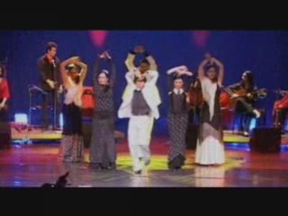 Flamenco Lyon Danse  Cours Dance Ecole Lesson Al Andalus Flamenco Lyon Cours Theatre Danse Guitare El Andalous Baile Gitano Salsa