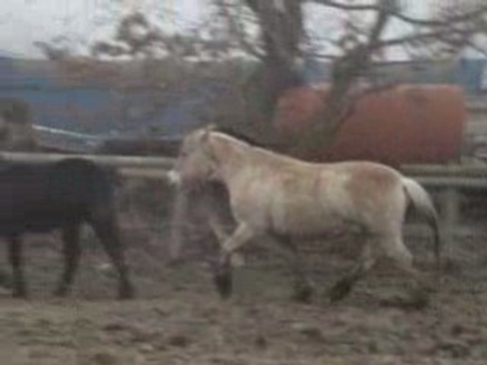 Le 20-02-09 037
