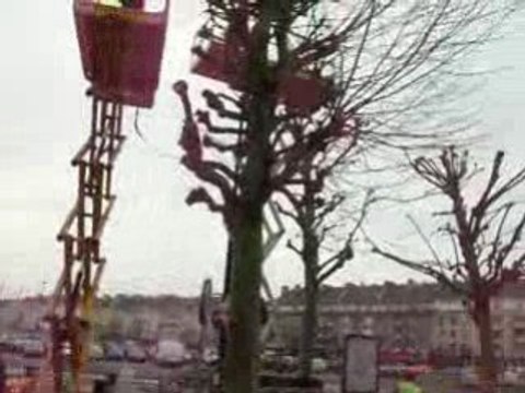 Caen elagage des arbres place Courtonne 19 fevrier 2009