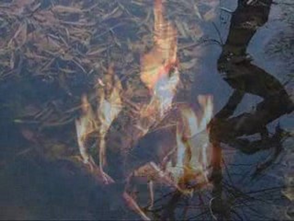 Eau et Feu.
