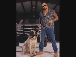 Hommage à l'Undertaker, the Phenom. 17-0!!!!!