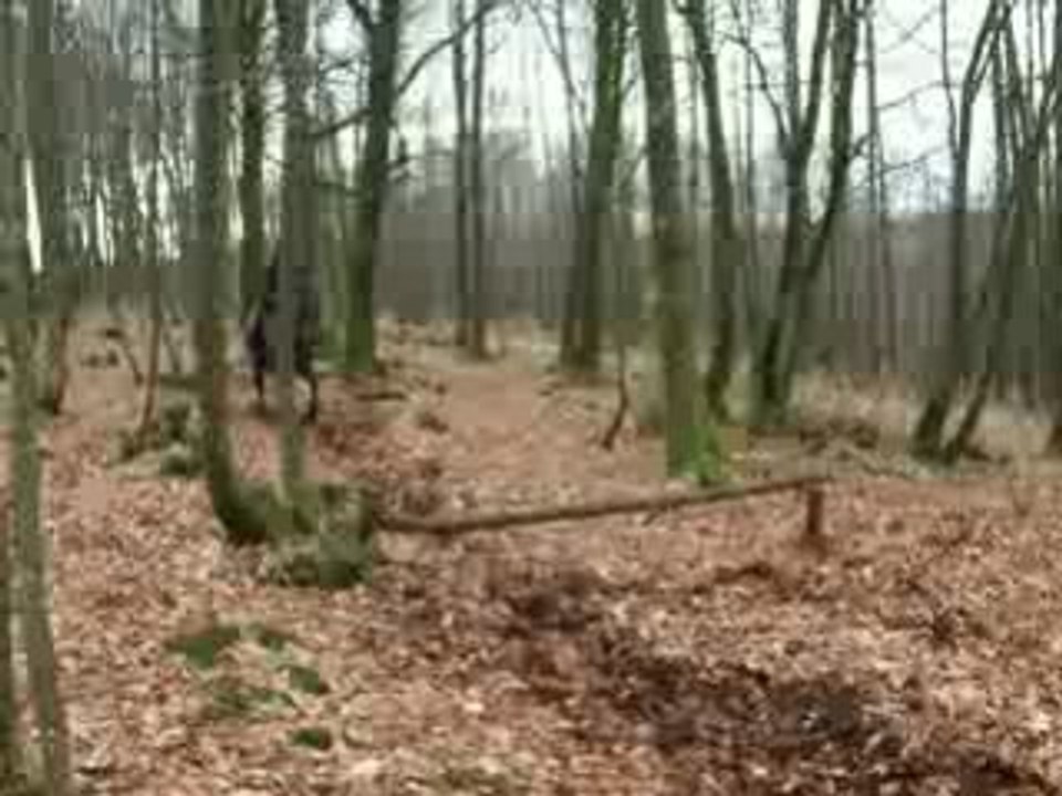 Mélodie et moi en saut ...