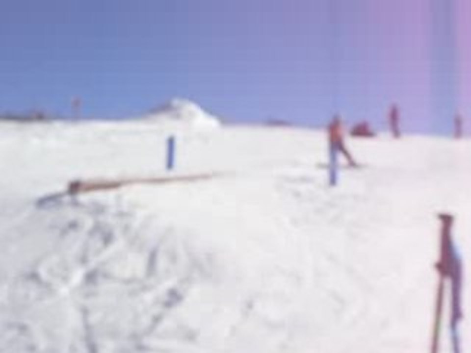 S1050852